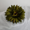 Gerbera olivová