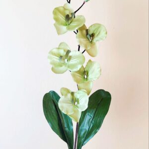 Orchidea na stonke x 6 olivová
