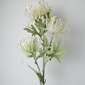 Protea na stonke biela