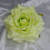 Ruža veľká svetlo-zelená