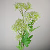 Spirea na stonke biela