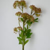 Spirea na stonke ružová